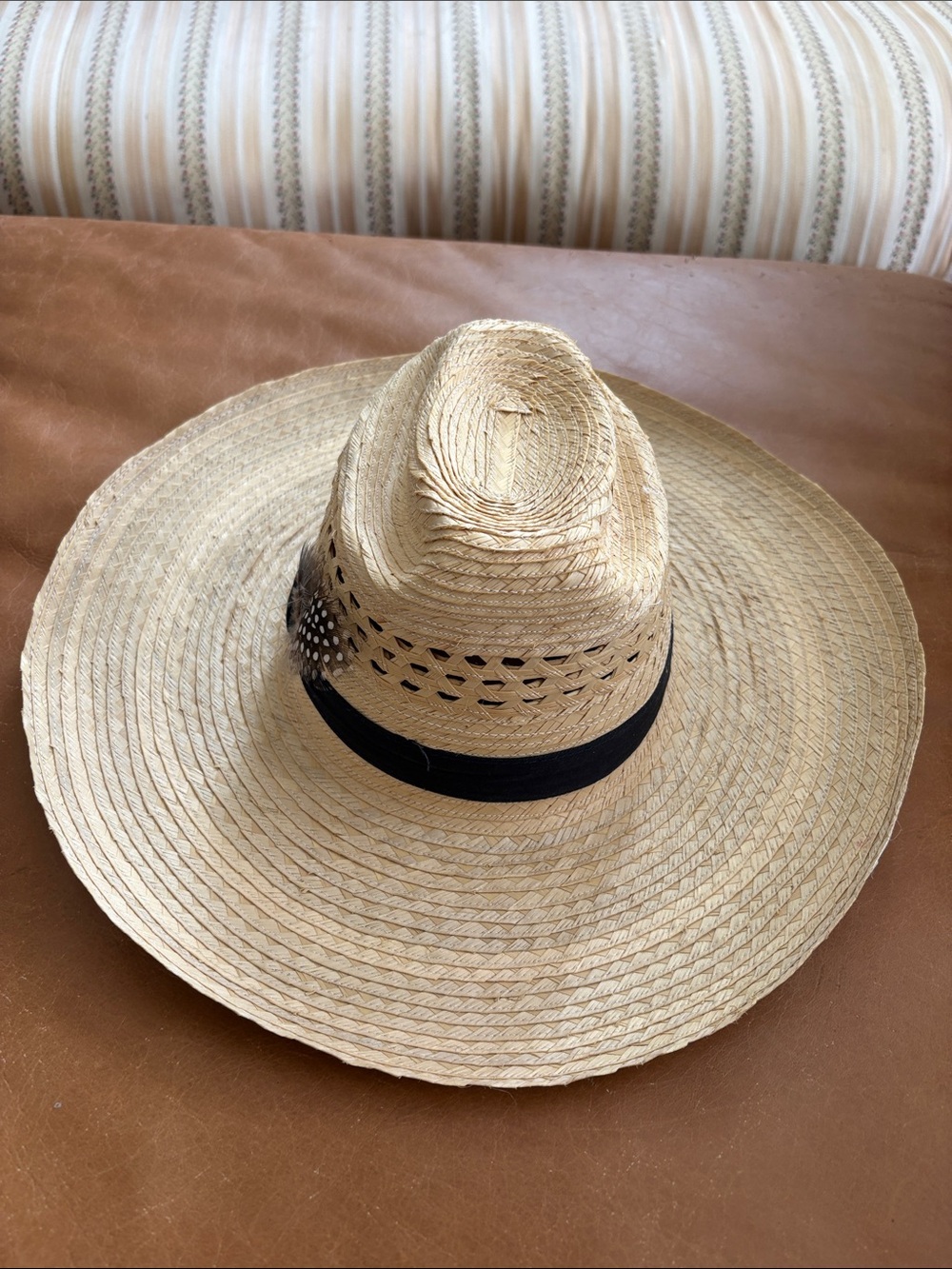 Straw Sun Hat with Black Band & Feathers